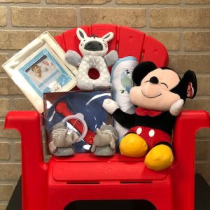 ADIRONDACK CHAIR - BOY